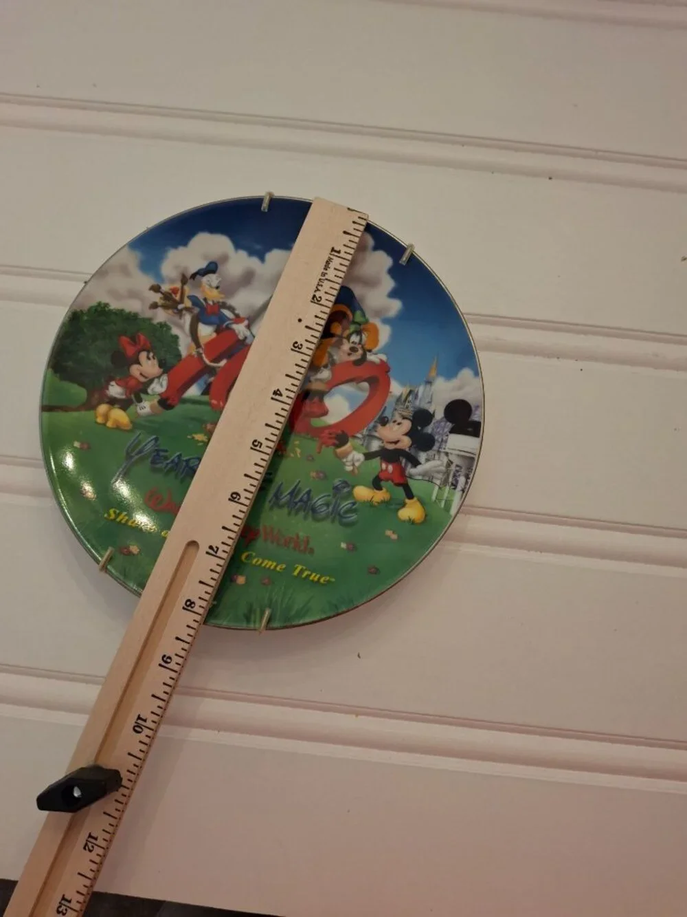 Disney World 100 Years Of Magic Collector Plate Share A Dream Come True 2001